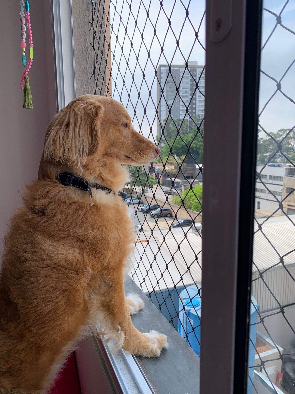 whatsapp image 2026 01 11 at 07.29.16